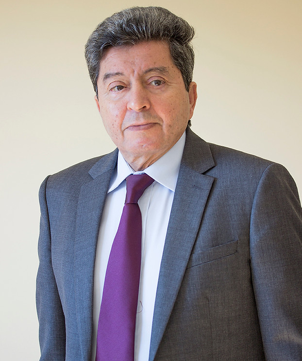Portrait of Judge Hamdi Fannoush